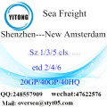 Shenzhen Port Sea Freight Shipping ke New Amsterdam